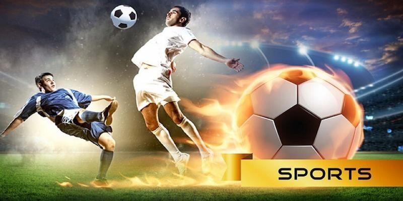 Cá cược thể thao với tỷ lệ đổi trả thưởng cực tốt