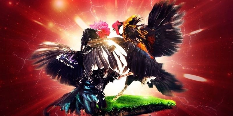 Tham gia cá cược, trải nghiệm tiện ích hoàn toàn miễn phí