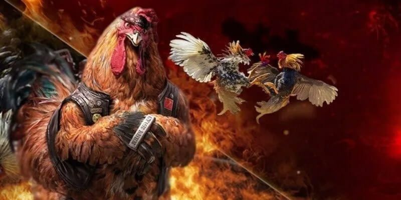 Tìm hiểu sơ lược về sân chơi đá gà hàng đầu châu Á SV368